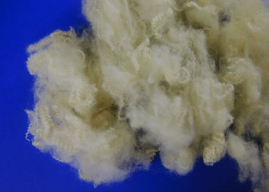 Fibra di graffetta di poliestere vergine di alta tenacia, fibra di poliestere riciclata distorsione anti-