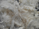 La fibra ad alta resistenza di Aramid ignifuga protegge l'abbigliamento