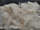Isolamento termico resistente chimico della fibra di graffetta di Aramid