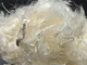 Polifenilene solfuro bianco 2D 51MM per non tessuti industriali