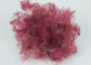 Fibra di graffetta di poliestere rosso scuro solida di PSF 12D*64mm per il tessuto del Nonwoven del feltro